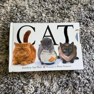 CAT Board Book Interactive Activity Matthew Van Fleet Brian Stanton